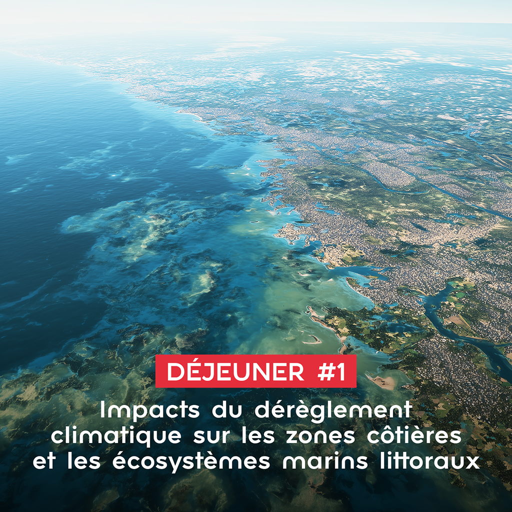 Déjeuner-débat : Impacts du dérèglement climatique sur les zones côtières et les écosystèmes marins littoraux